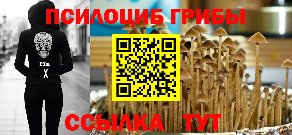 Нововоронеж  Галлюциногенные грибы мухоморы  Вход с VPN 