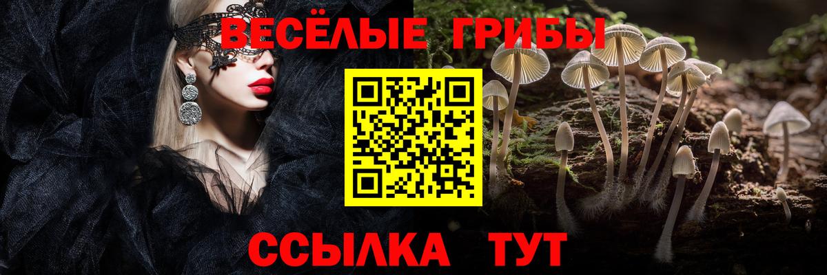 Псилоцибиновые грибы Magic Shrooms Нововоронеж